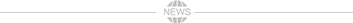 山東鴻藝軒園林綠化工程有限公司-新聞中心